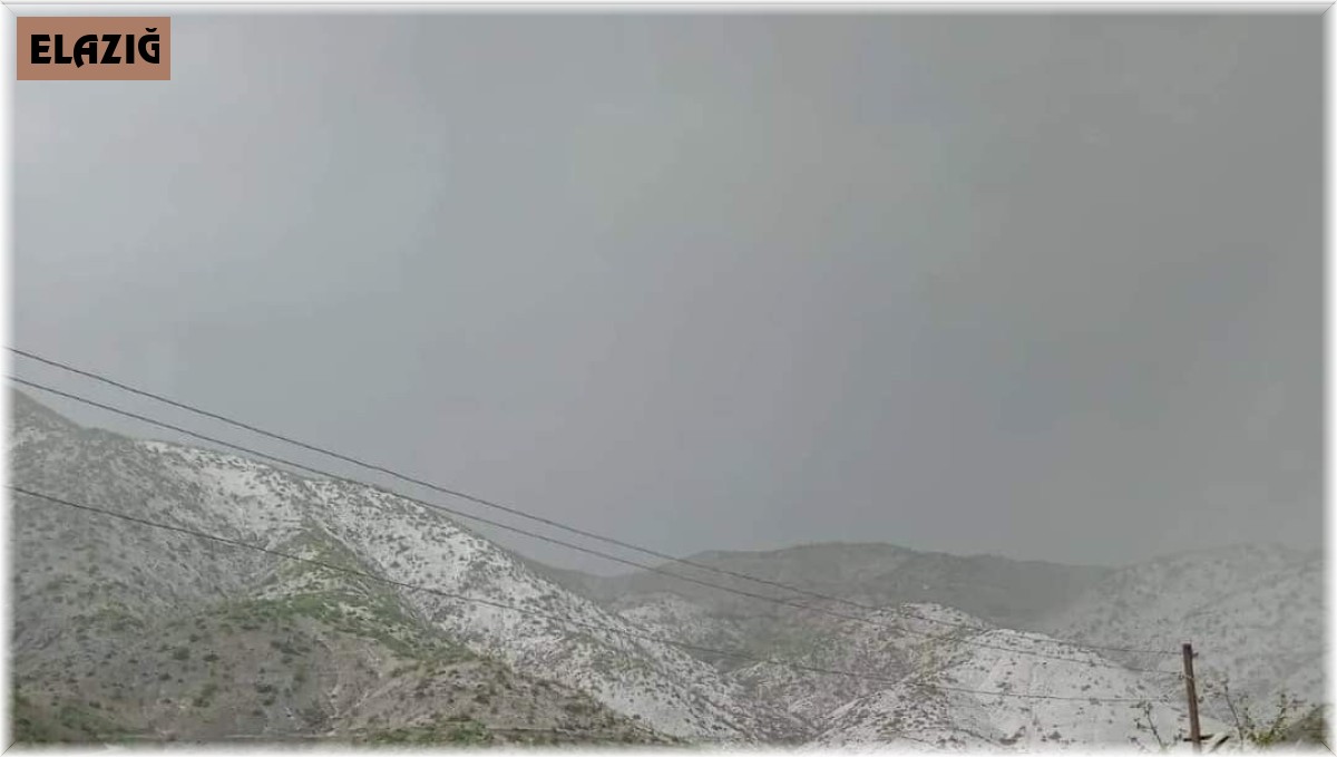 Elazığ'da kayısıyı dolu vurdu