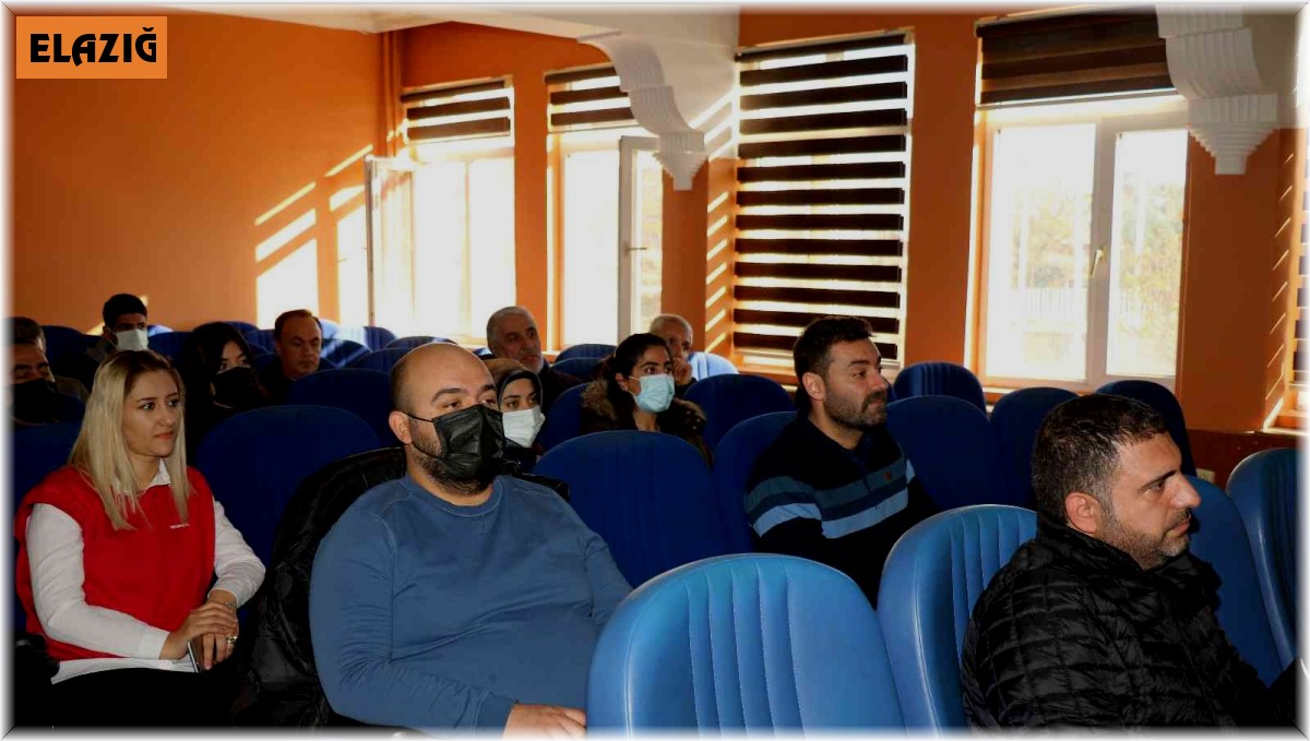 Elazığ'da kedi, köpek ve gelinciklere 'Pasaport ve Mikroçip' zorunluluğu