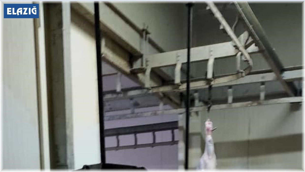 Elazığ'da kesimhaneler denetlendi