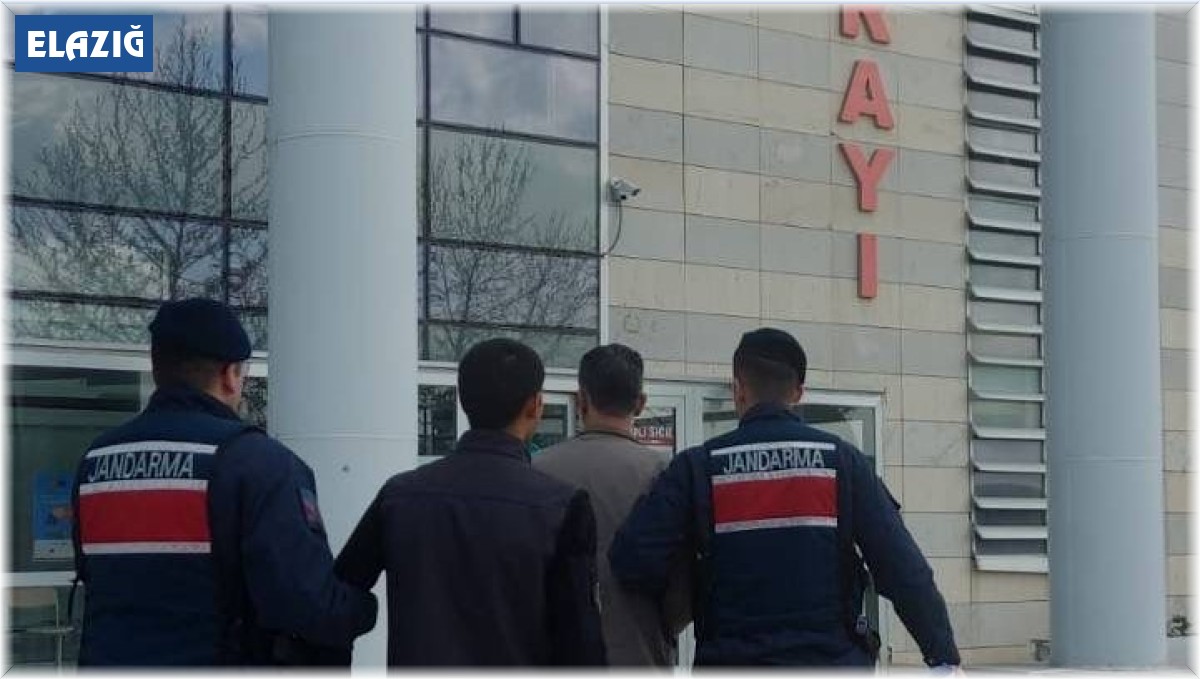 Elazığ'da kesinleşmiş hapis cezası bulunan 2 zanlı yakalandı