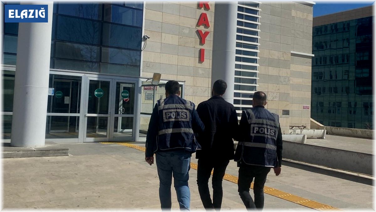 Elazığ'da kesinleşmiş hapis cezası bulunan 24 zanlı yakalandı