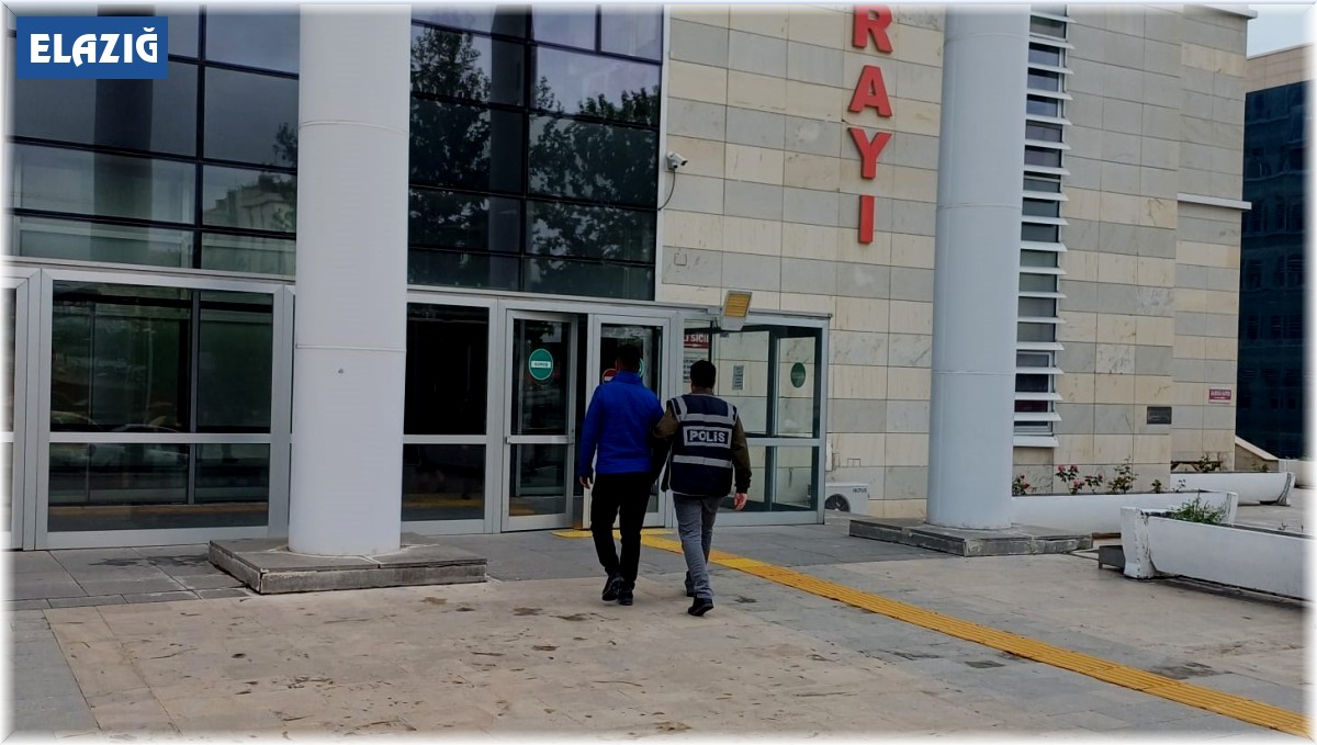 Elazığ'da kesinleşmiş hapis cezası bulunan 24 zanlı yakalandı