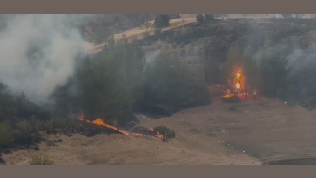 Elazığ'da kırsal alan yangını