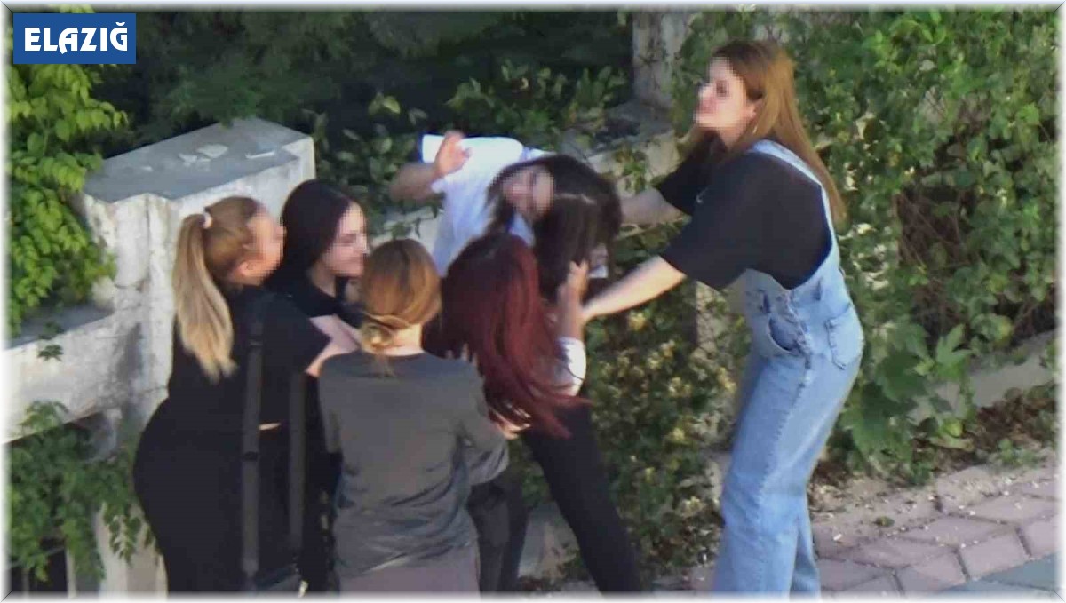 Elazığ'da kızlar saç saça baş başa birbirine girdi, erkekler izledi