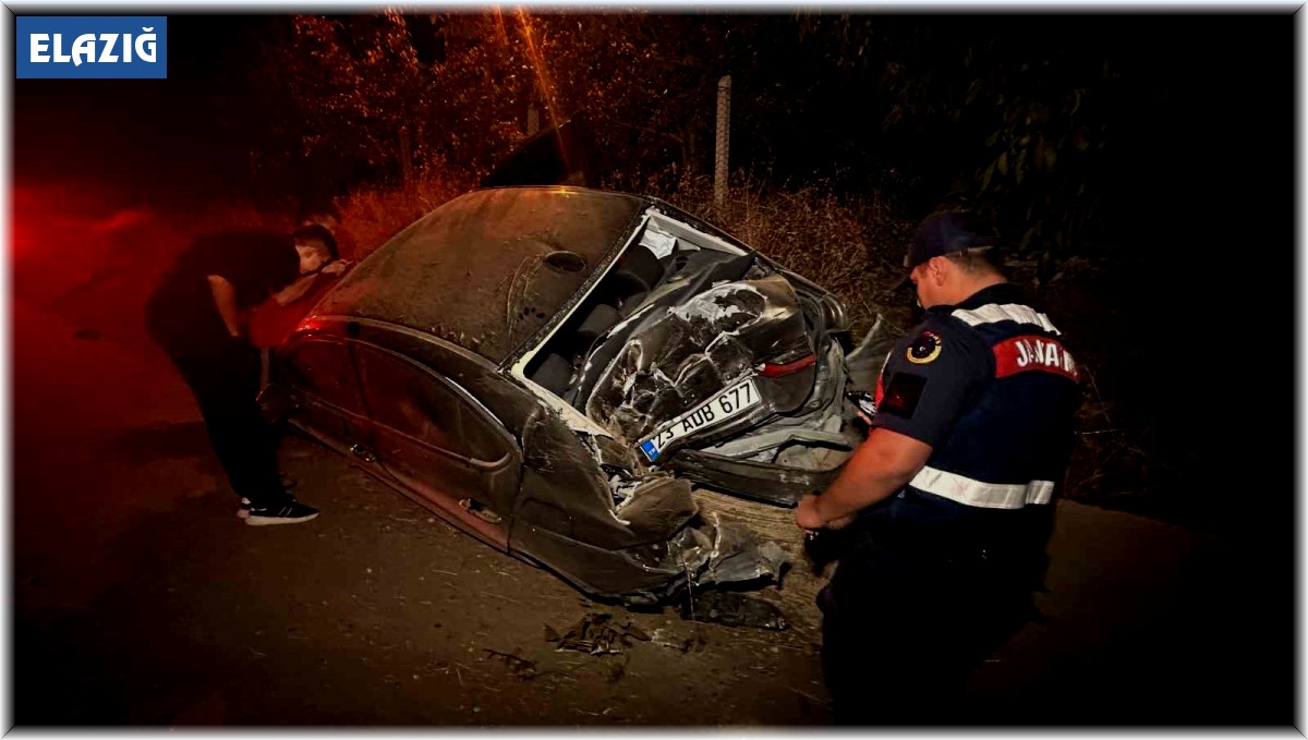 Elazığ'da kontrolden çıkan araç yoldan çıktı: 2'si ağır 3 yaralı