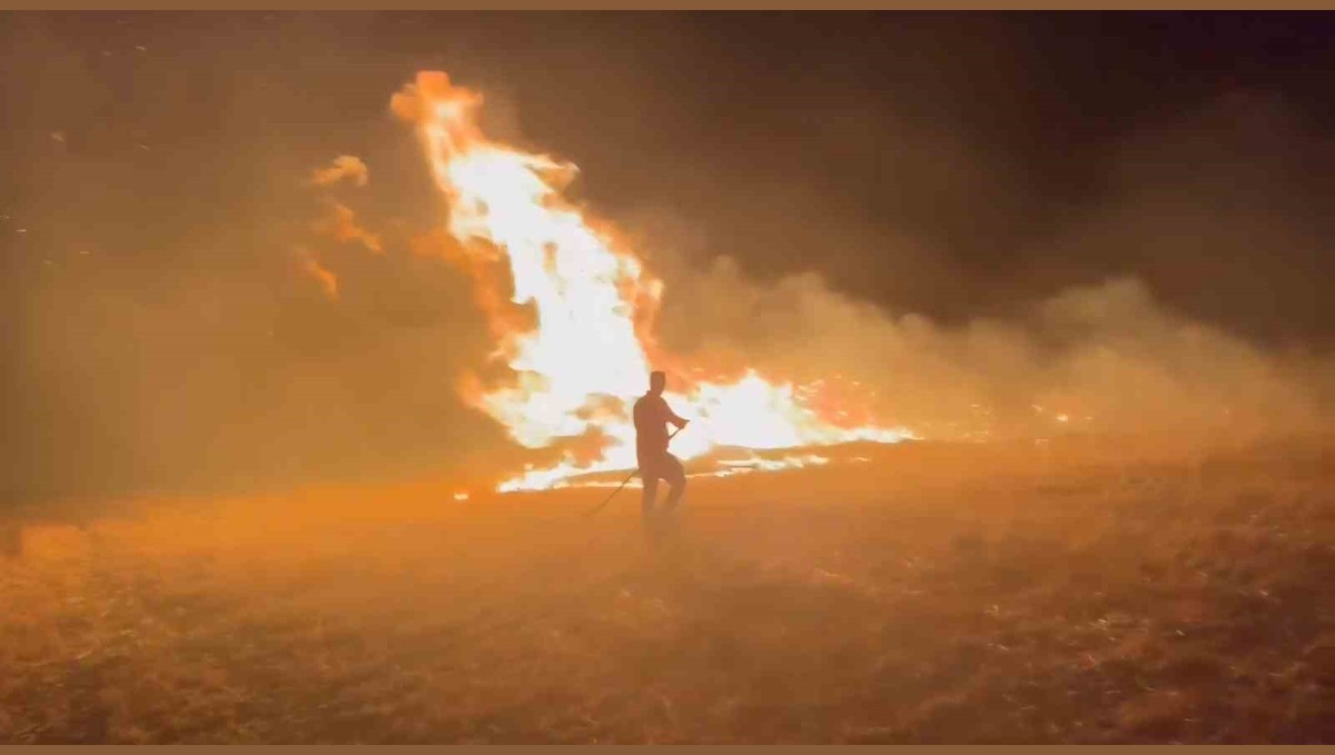 Elazığ'da korkutan arazi yangını
