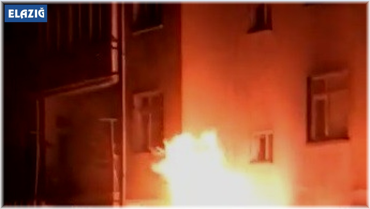 Elazığ'da korkutan odunluk yangını