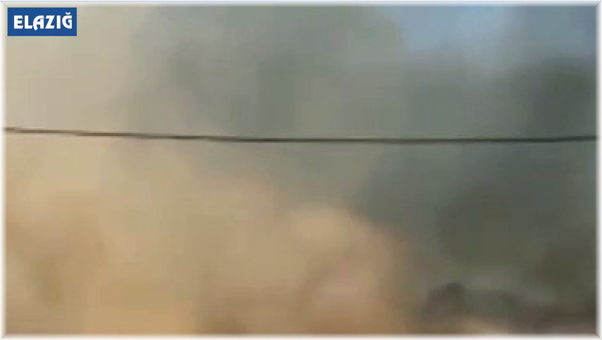 Elazığ'da korkutan yangın: 10 dönüm alan zarar gördü