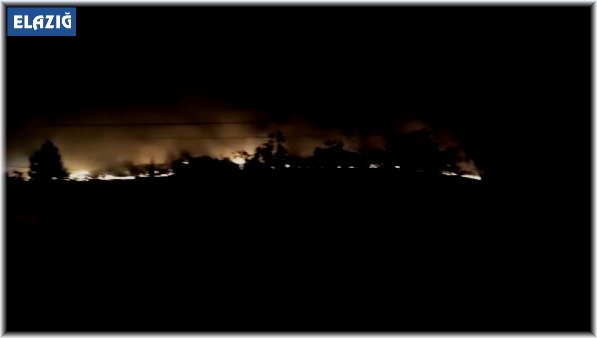 Elazığ'da korkutan yangın