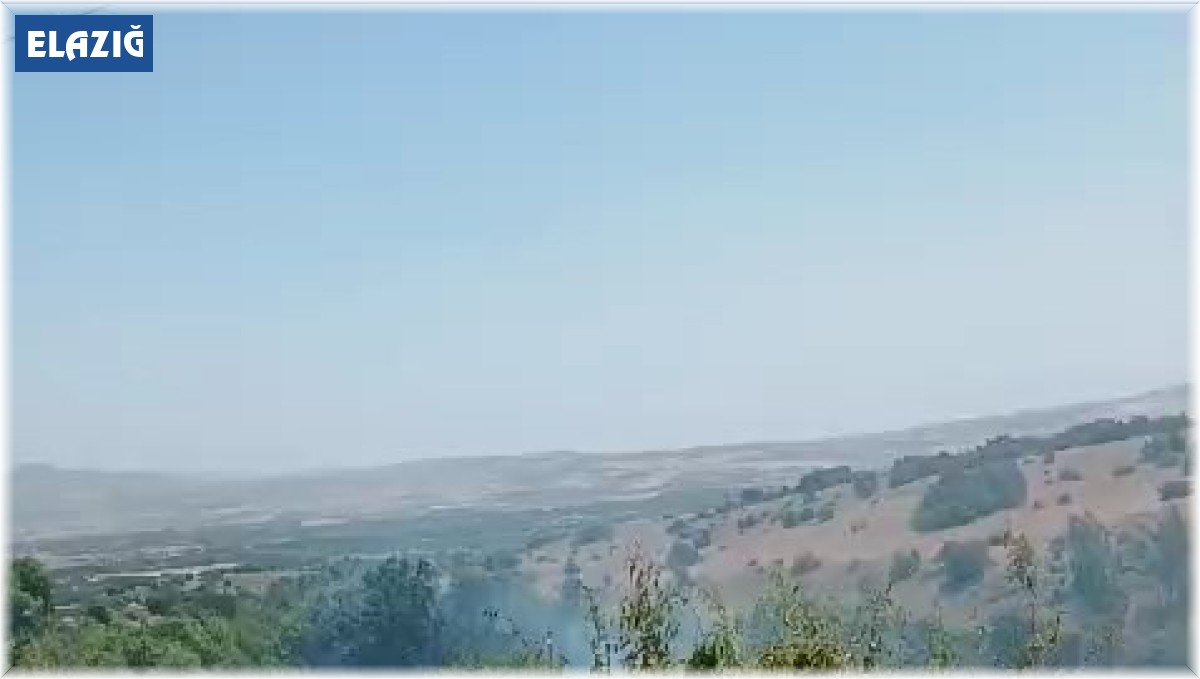 Elazığ'da korkutan yangın: Alevler evlere sıçramadan söndürüldü