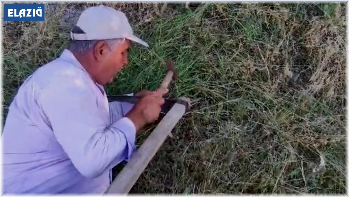 Elazığ'da köylülerin ot biçme mesaisi başladı