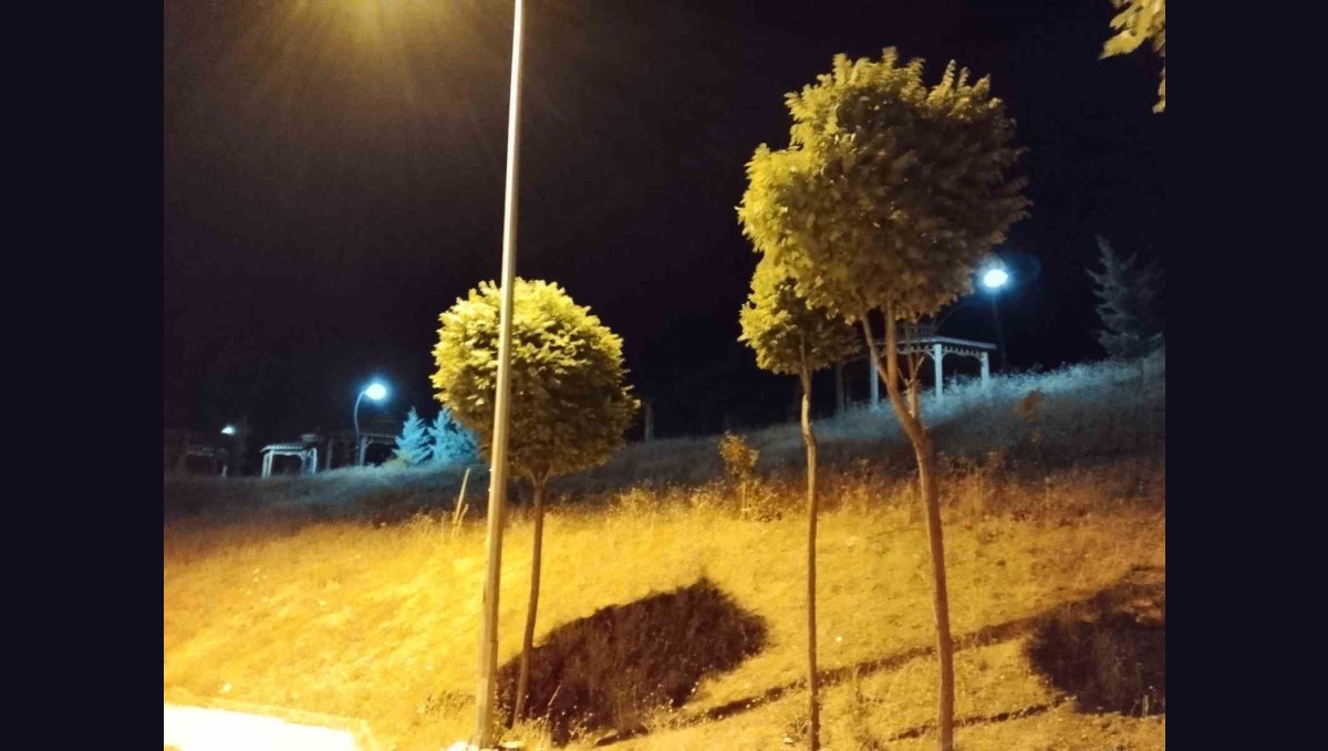 Elazığ'da kuvvetli rüzgar etkili oldu