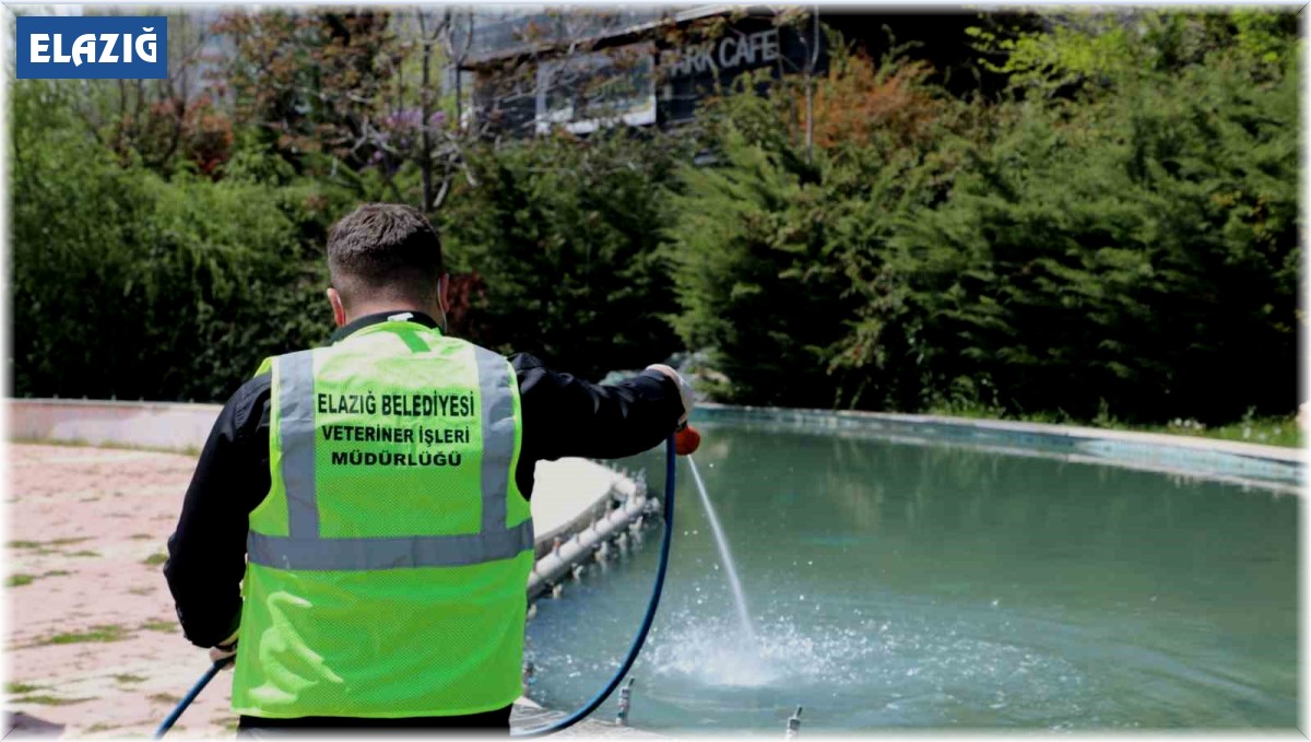 Elazığ'da larva ile mücadele çalışmaları sürüyor