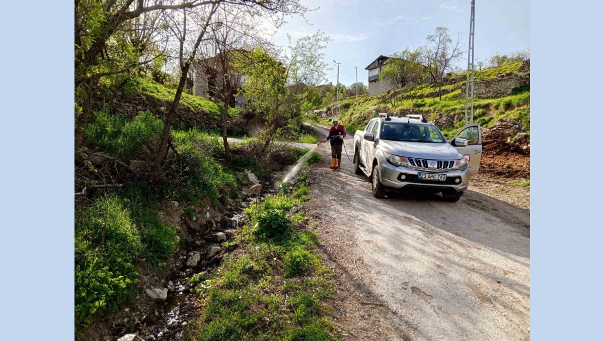 Elazığ'da larva ile mücadele sürüyor