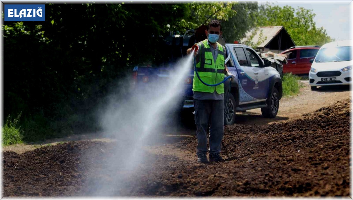 Elazığ'da larvayla mücadele çalışmaları sürüyor