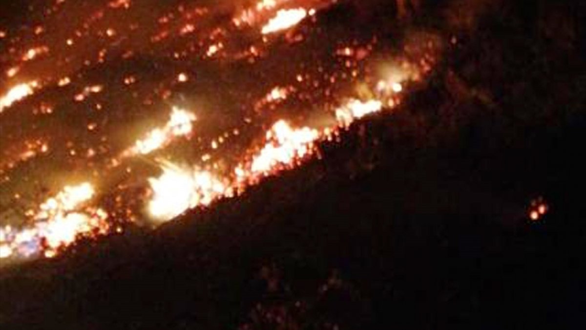 Elazığ'da Mastar Dağı'nda çıkan örtü yangını söndürüldü