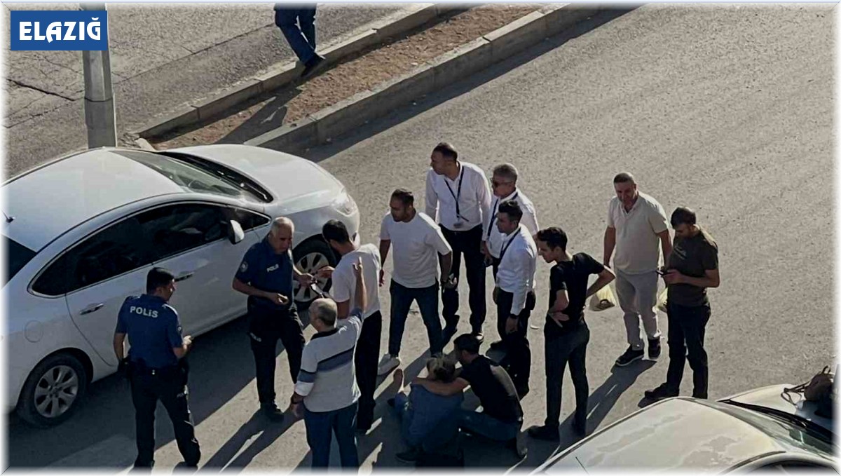 Elazığ'da minibüsün çarptığı kadın yaralandı