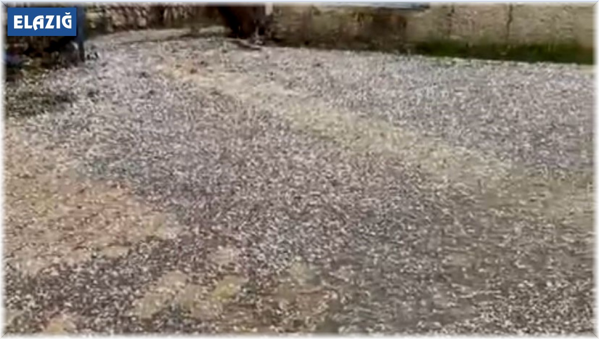 Elazığ'da misket büyüklüğünde dolu yağdı