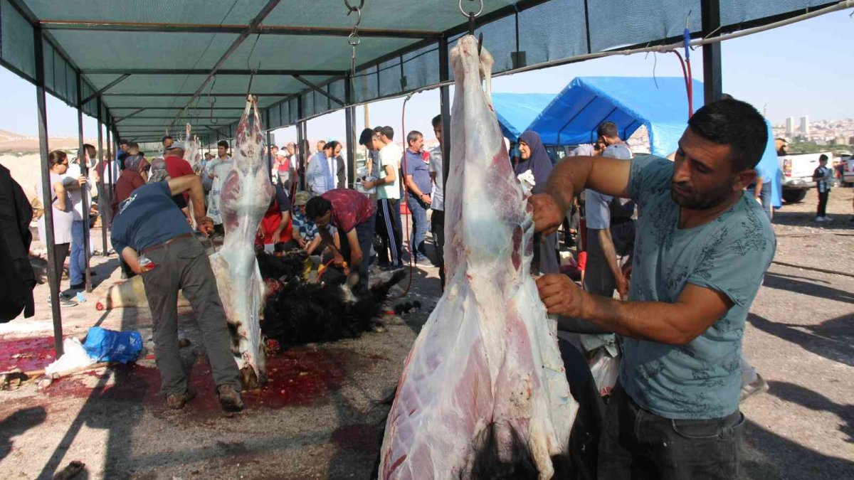 Elazığ'da namazdan çıkan vatandaşlar kurbanlarını kesti