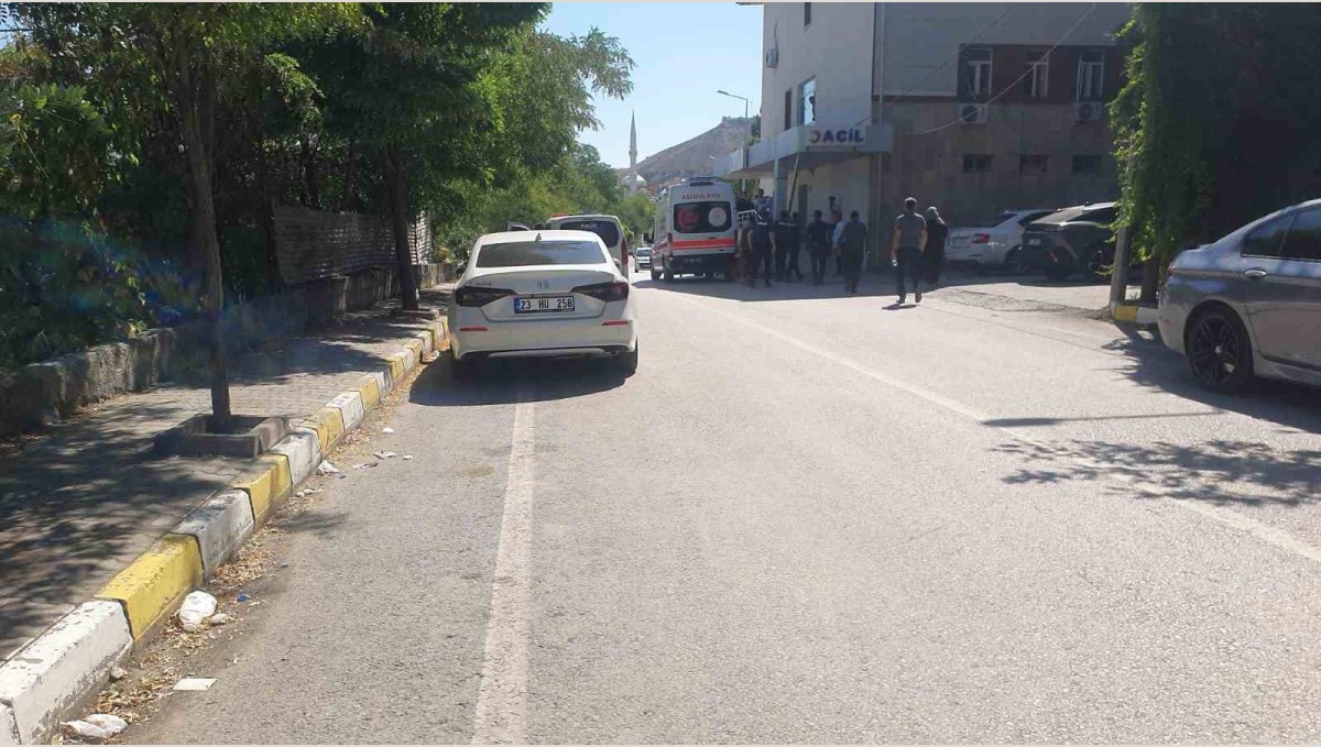 Elazığ'da nehre giren öğretmen boğuldu