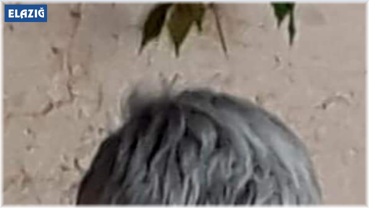 Elazığ'da oğlu tarafından bıçaklanan baba öldü