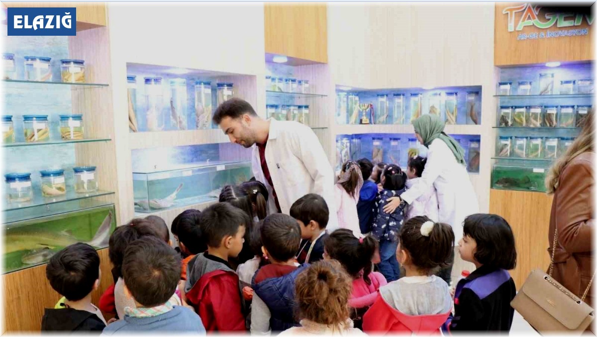 Elazığ'da öğrenciler balık müzesini gezdi