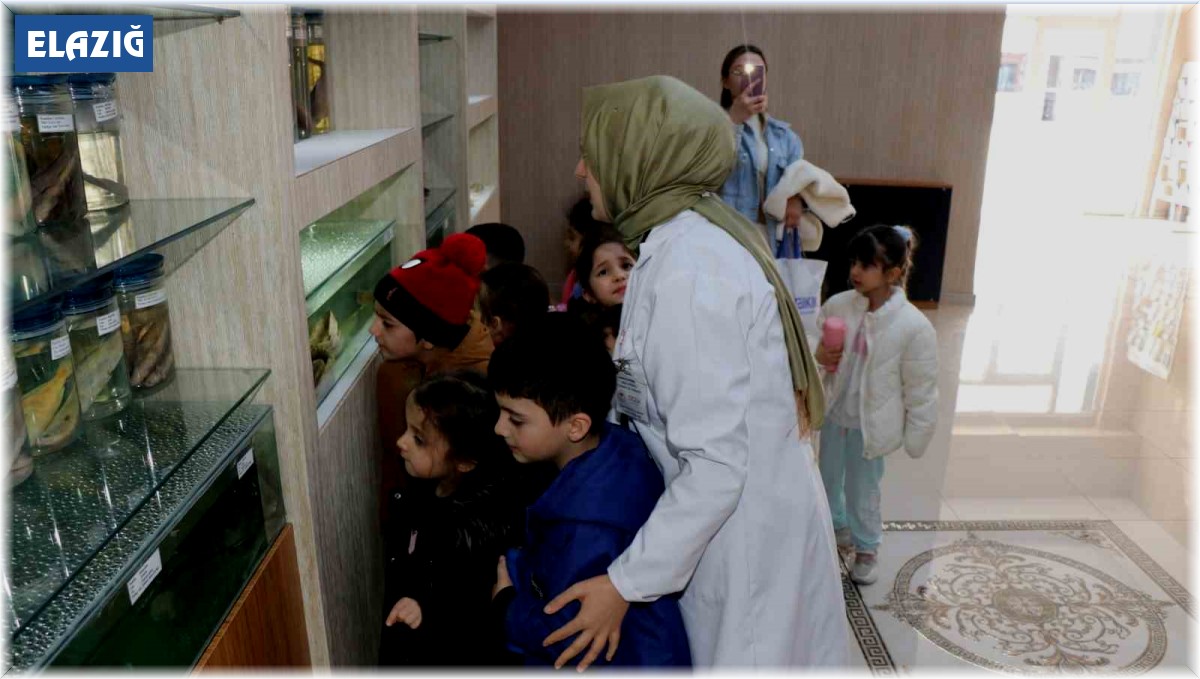 Elazığ'da öğrenciler Balık Müzesini gezdi