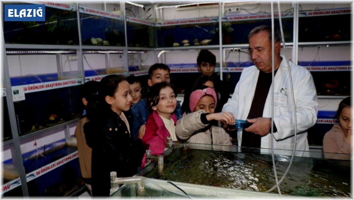 Elazığ'da öğrenciler Balık Müzesini gezdi