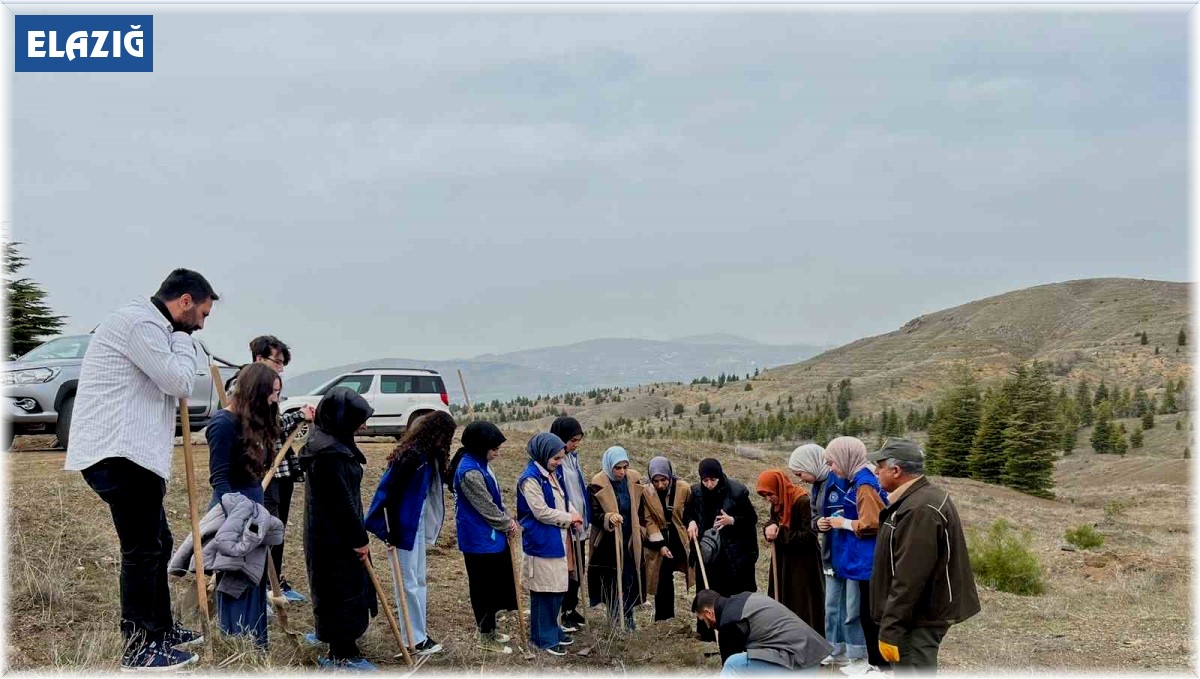 Elazığ'da öğrenciler fidan dikim etkinliğinde buluştu