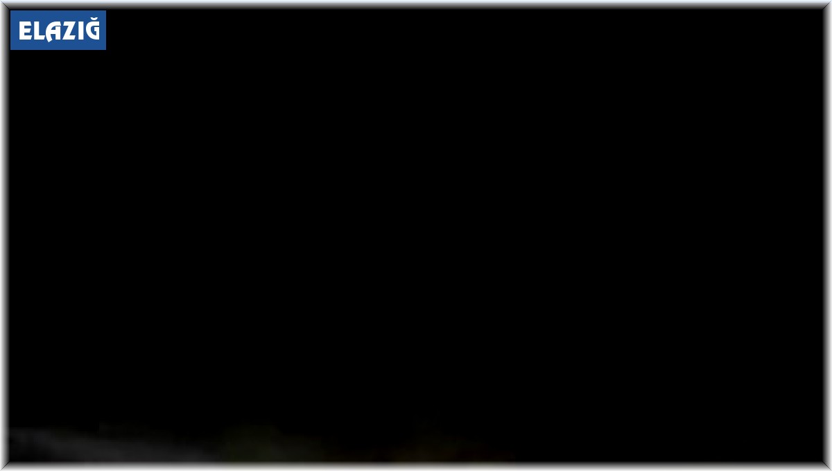 Elazığ'da oklu kirpi görüntülendi