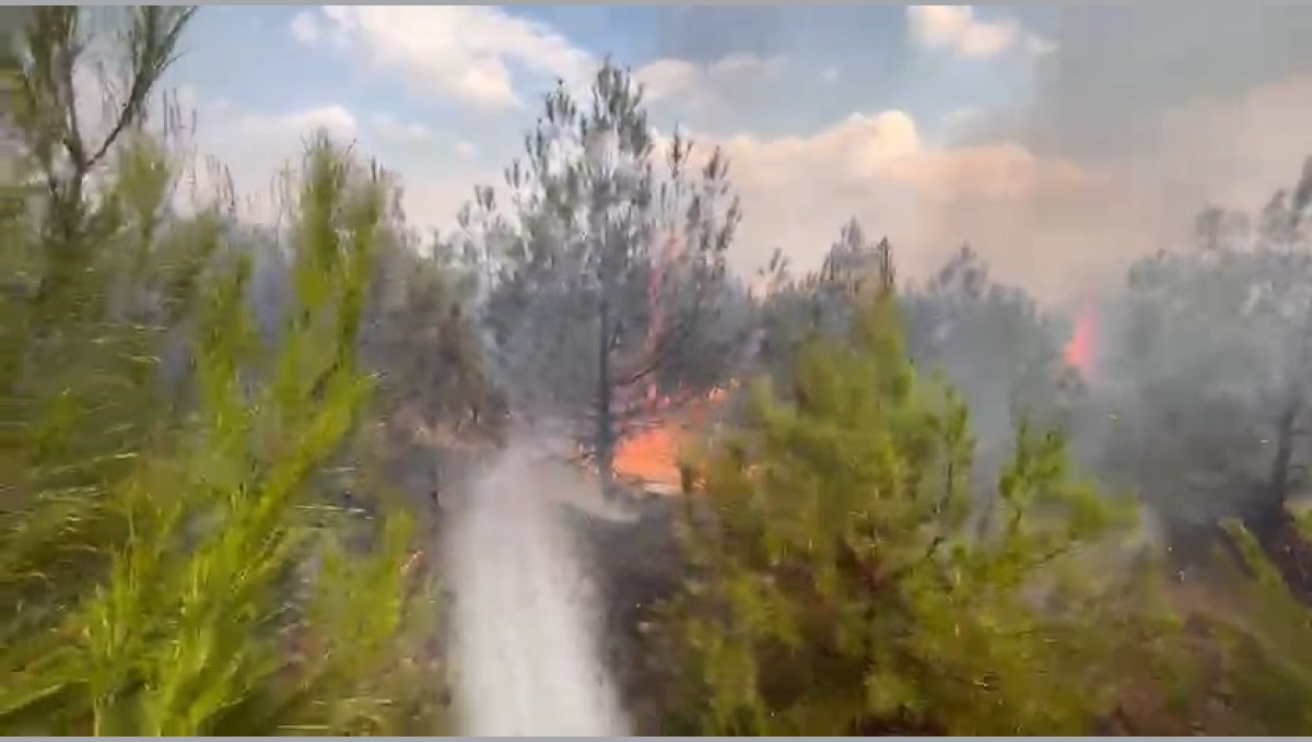 Elazığ'da ormanlık alanda yangın