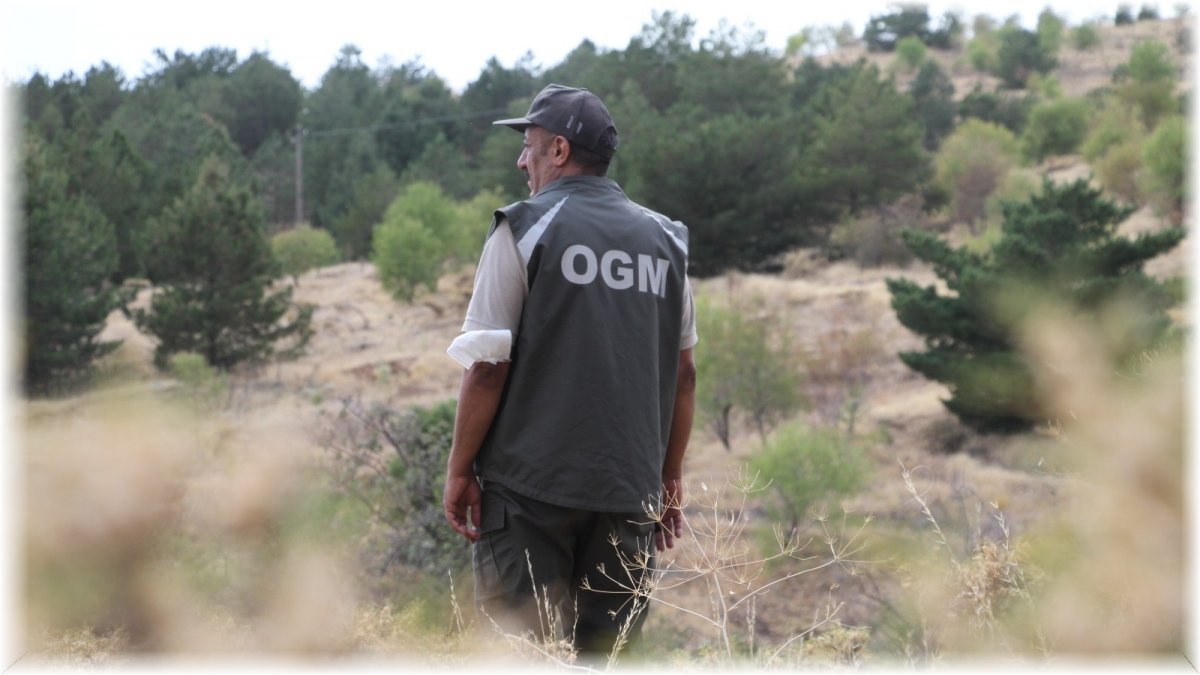 Elazığ'da, ormanlık alanlarda sıkı denetim