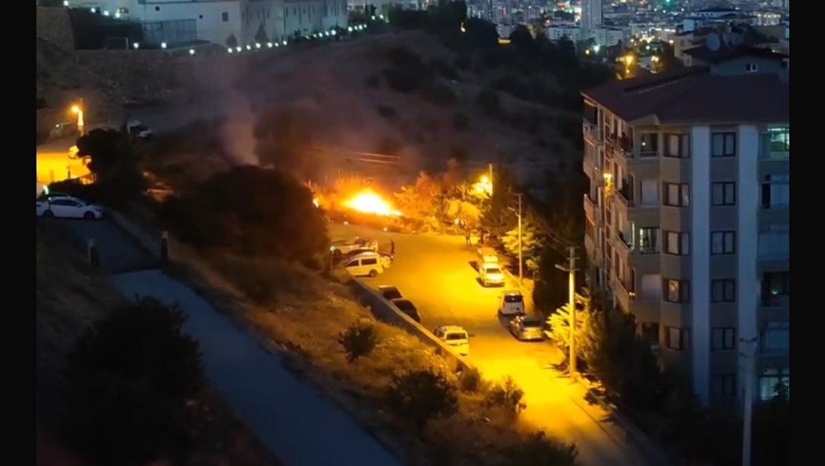 Elazığ'da ot yangını