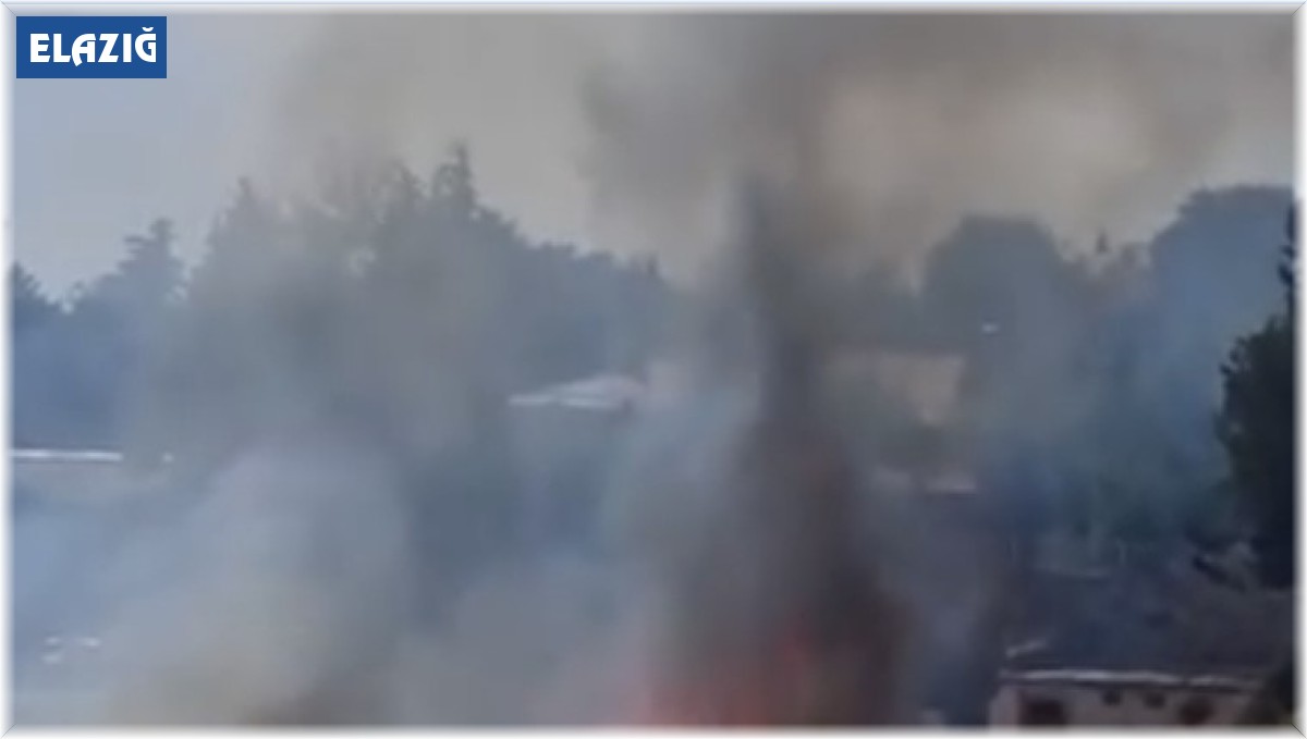 Elazığ'da otluk alanda çıkan yangın korkuttu