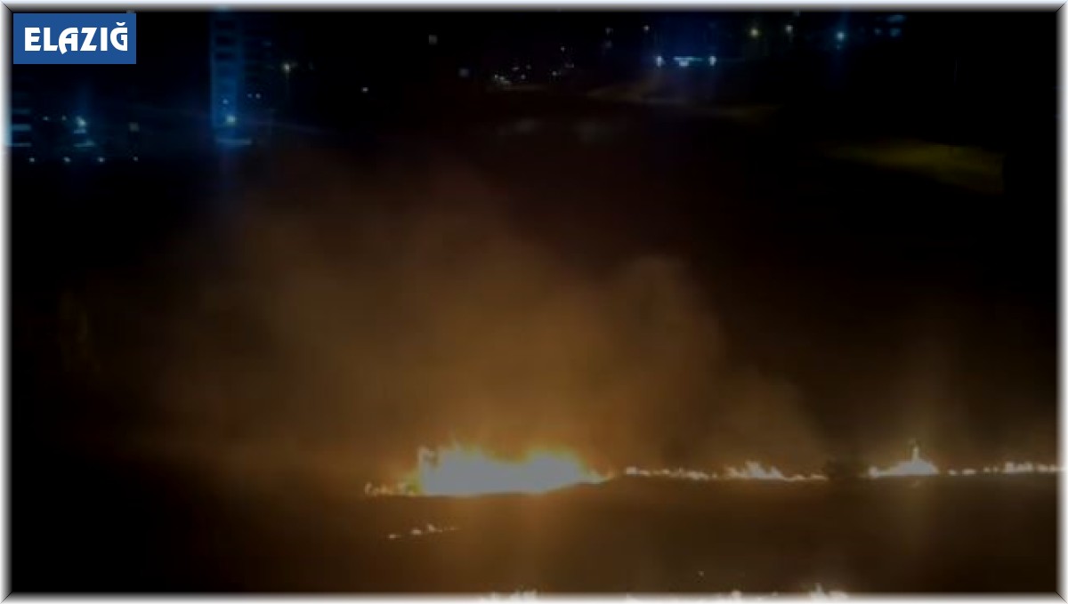 Elazığ'da otluk alanda korkutan yangın