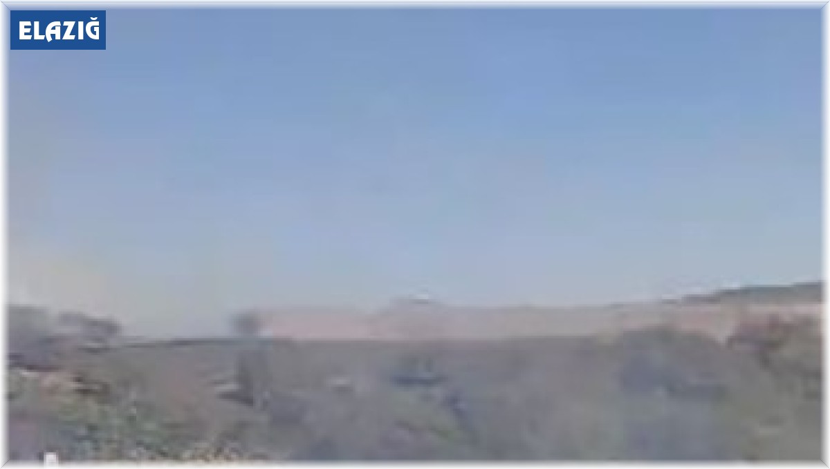 Elazığ'da otluk alanda yangın