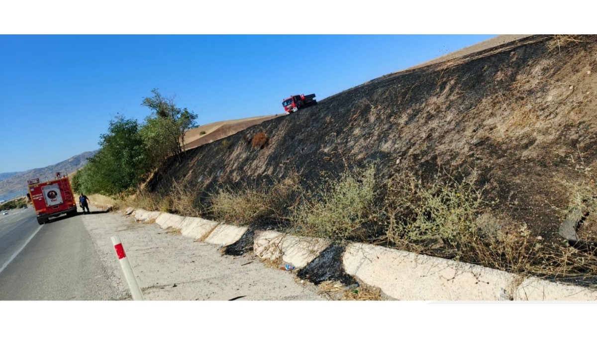 Elazığ'da otluk alanda yangın