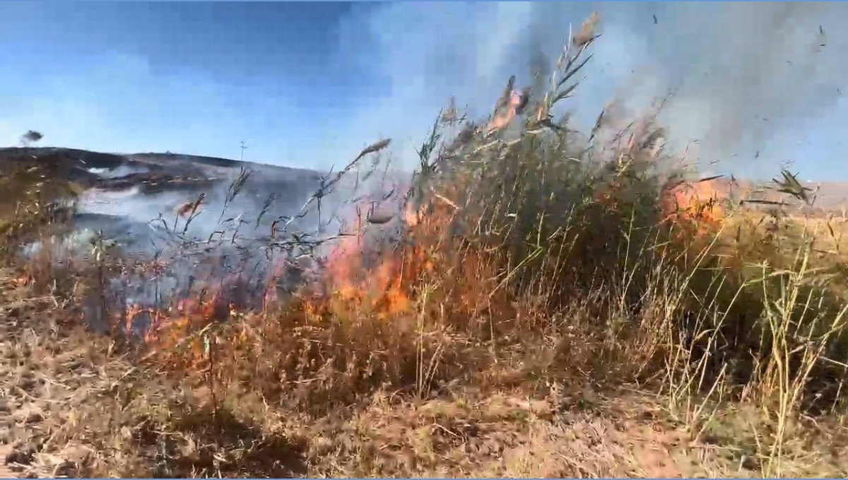 Elazığ'da otluk alanda yangın