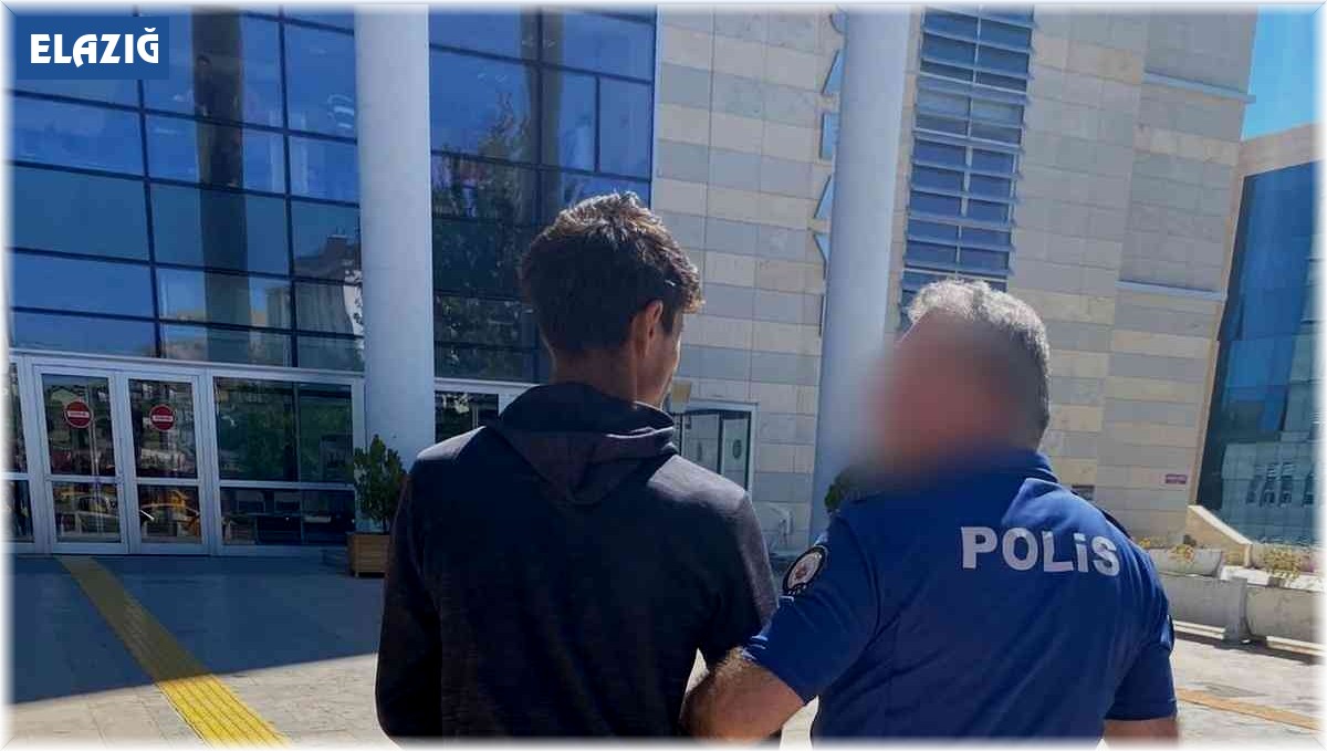 Elazığ'da oto hırsızı yakalandı