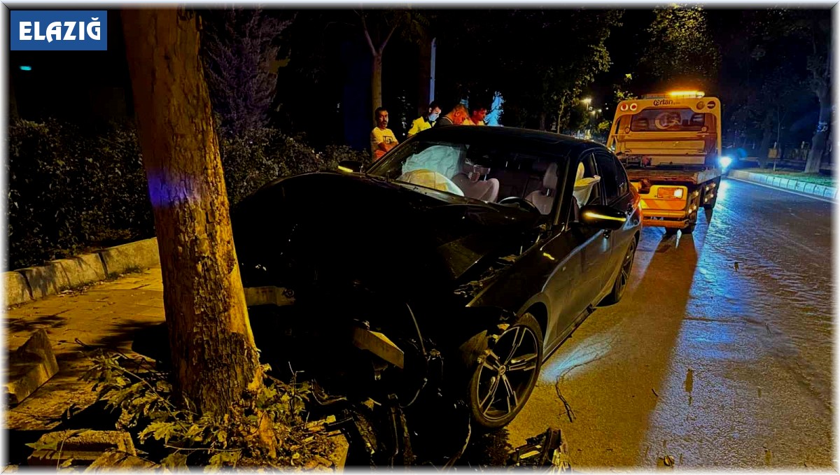 Elazığ'da otomobil ağaca çarptı: 1 yaralı