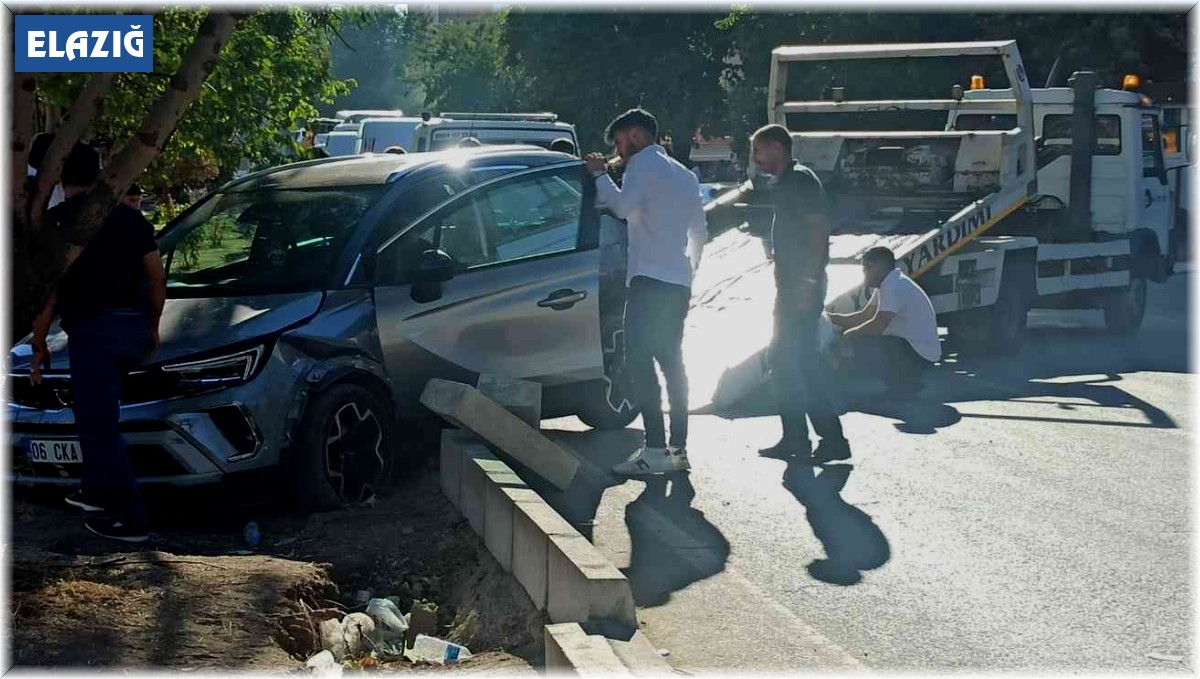 Elazığ'da otomobil ağaca çarptı: 1 yaralı