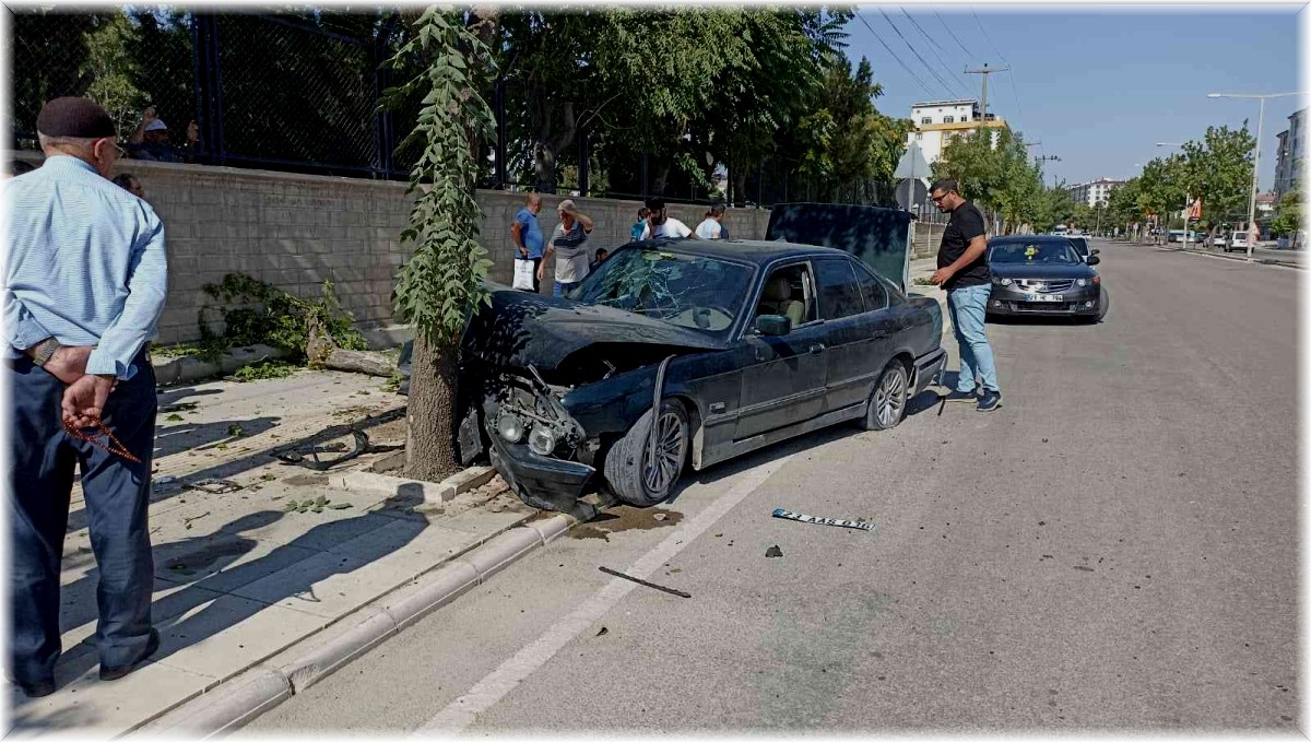 Elazığ'da otomobil ağaca çarptı: 1 yaralı
