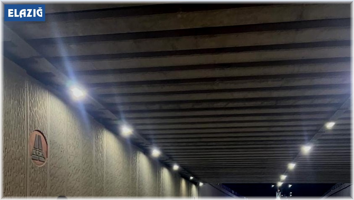 Elazığ'da otomobil alt geçitte refüje çarptı