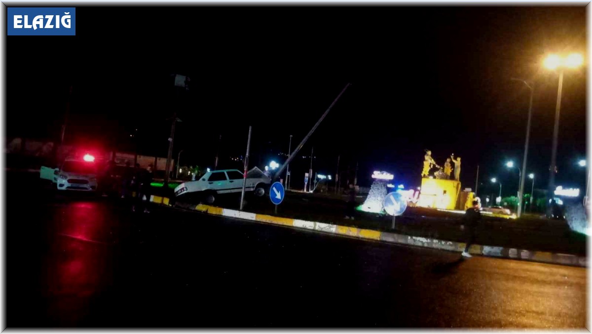Elazığ'da otomobil aydınlatma direğine çarptı: 1 yaralı