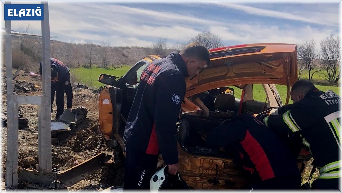 Elazığ'da otomobil aydınlatma direğine çarptı: 1 yaralı