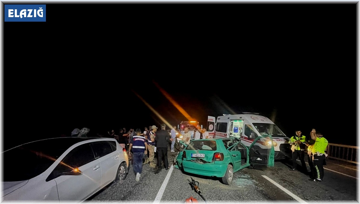 Elazığ'da otomobil demir korkuluklara çarptı: 1 ölü,5 yaralı