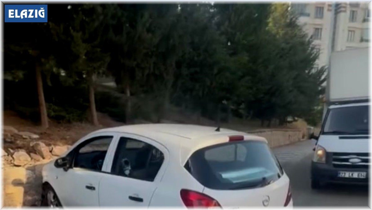 Elazığ'da otomobil duvara çarptı: 1 yaralı