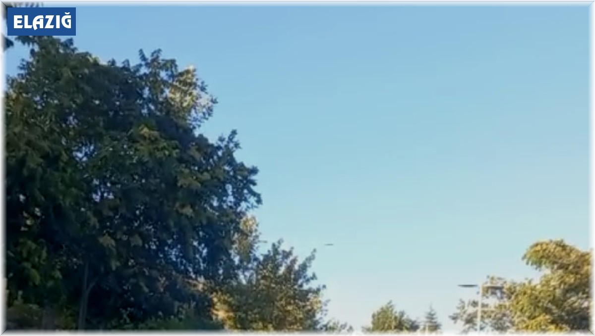 Elazığ'da otomobil ile minibüs çarpıştı: 1 yaralı