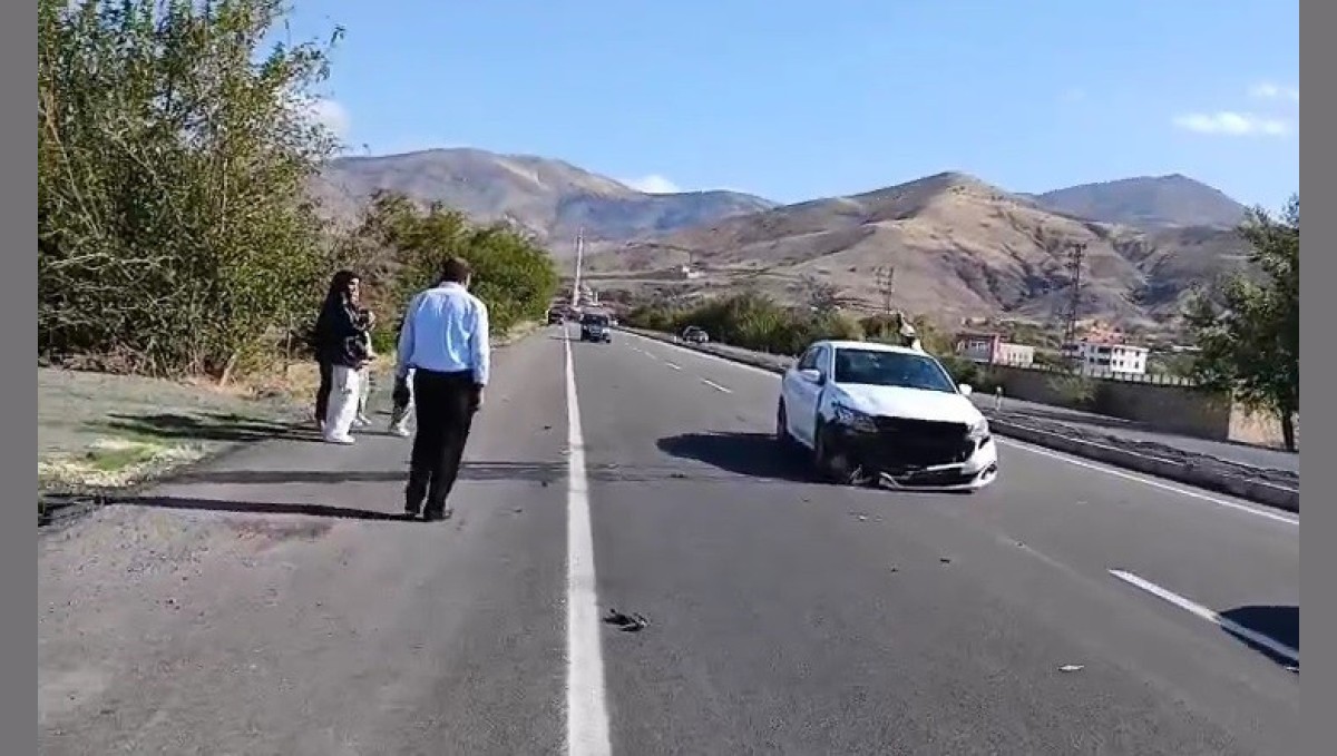 Elazığ'da otomobil köpeğe çarptı: 1 yaralı