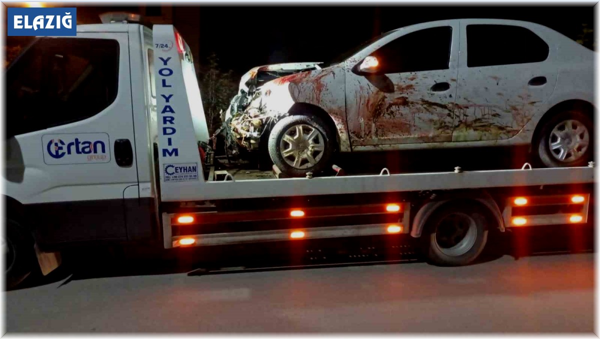 Elazığ'da otomobil koyun sürüsüne daldı: 2 yaralı